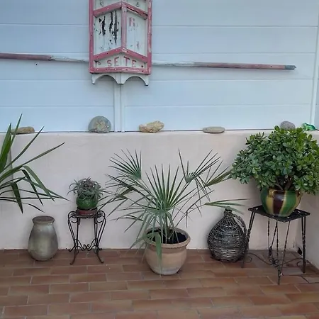 Lejlighed L'oasis Bleue Et Terrasse