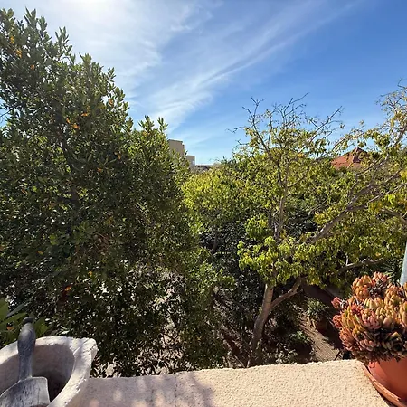 アパート L'oasis Bleue Et Terrasse *