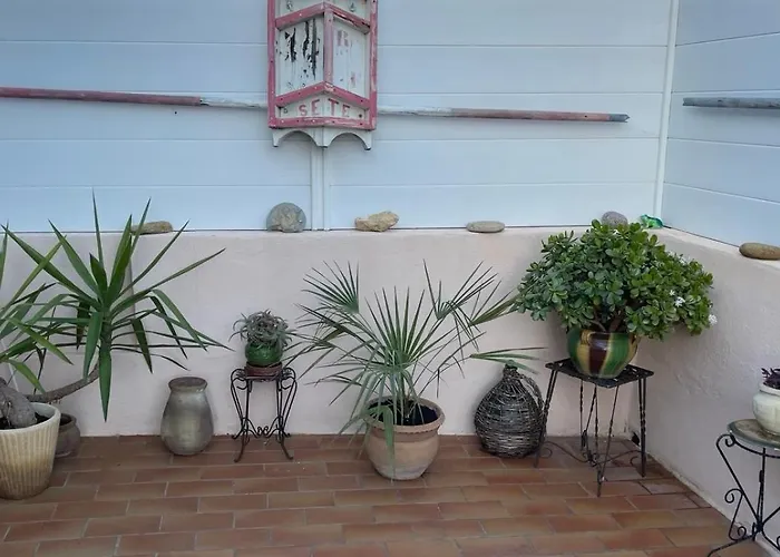 דירה L'oasis Bleue Et Terrasse