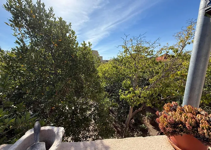 דירה L'oasis Bleue Et Terrasse *